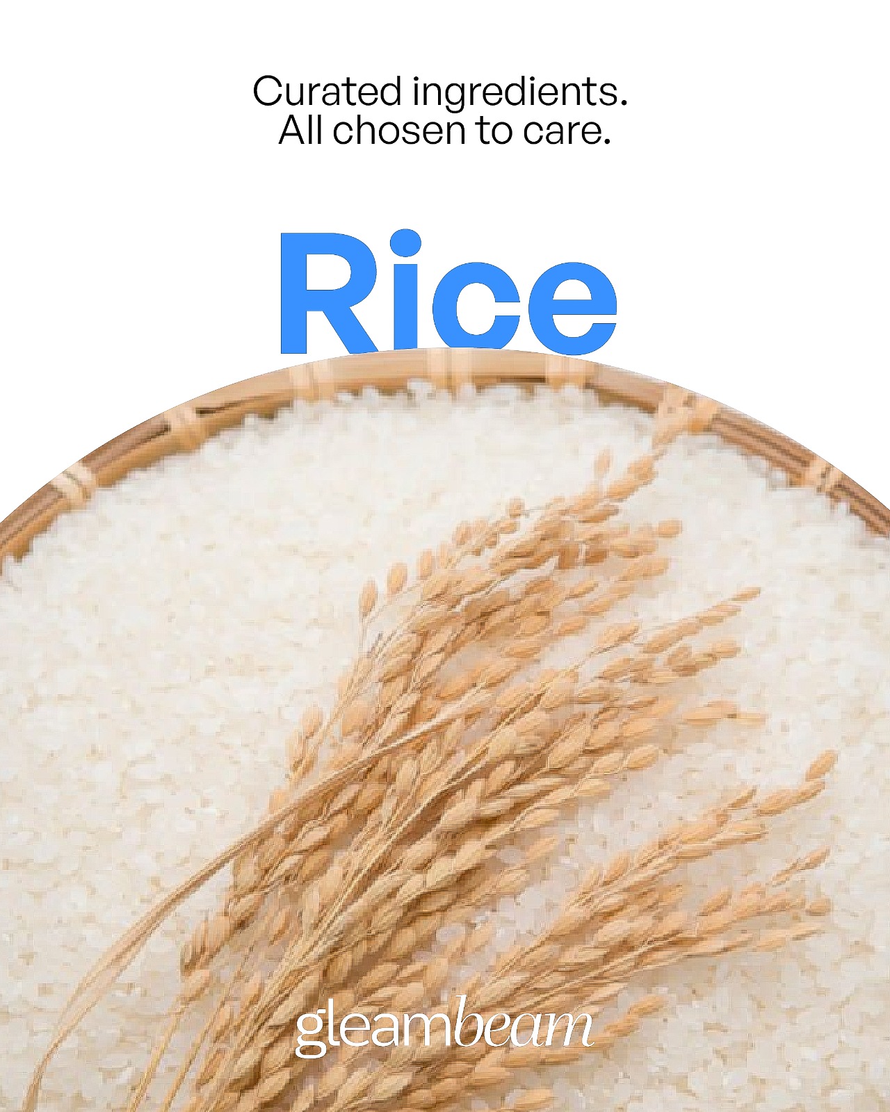 Oryza Sativa Extract (Rice)